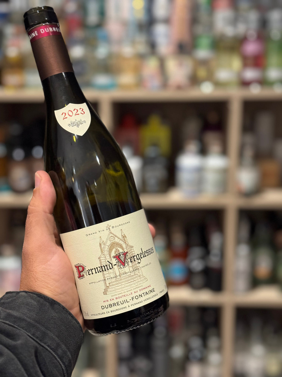 Pernand-Vergelesses 2023 – Domaine Dubreuil-Fontaine
