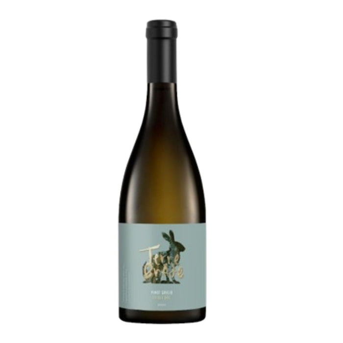 Pinot Grigio Friuli DOC 2025 0.75L - Terre Brade