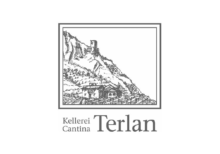 Cantina Terlano | Vini Bianchi Alto Adige — Wine&More