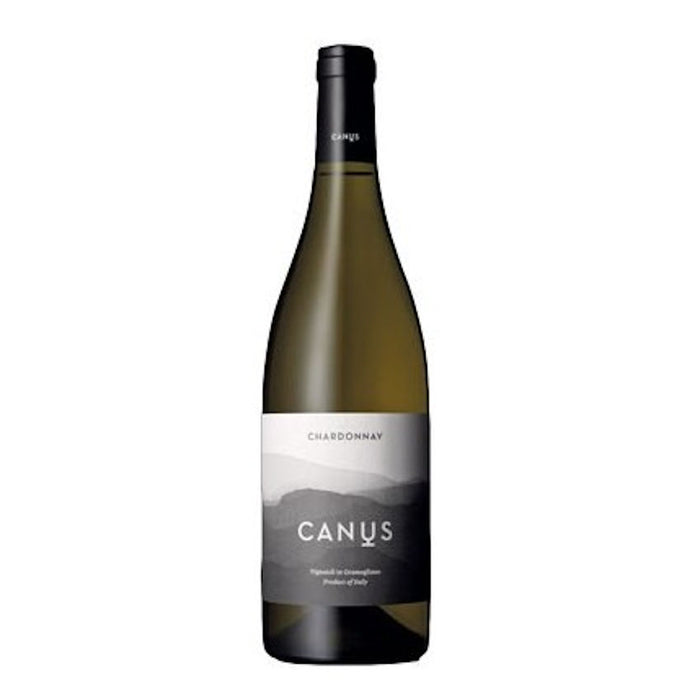 Chardonnay DOC Friuli Colli Orientali 2021 - Canus