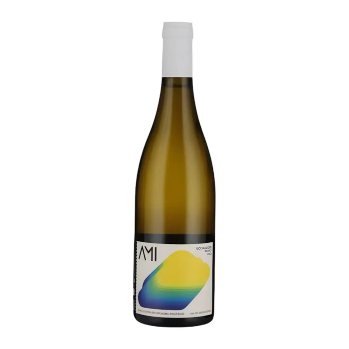 La Tête dans les Nuages Bourgogne AOC 2020 Domaine Ami 0,75L — Vino Bianco Borgogna Chardonnay