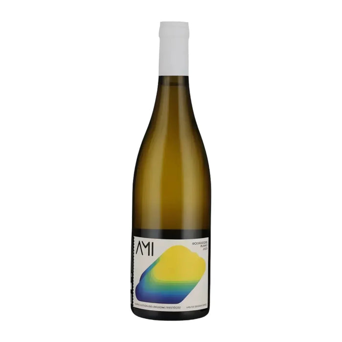 La Tête dans les Nuages Bourgogne AOC 2020 Domaine Ami 0,75L — Vino Bianco Borgogna Chardonnay