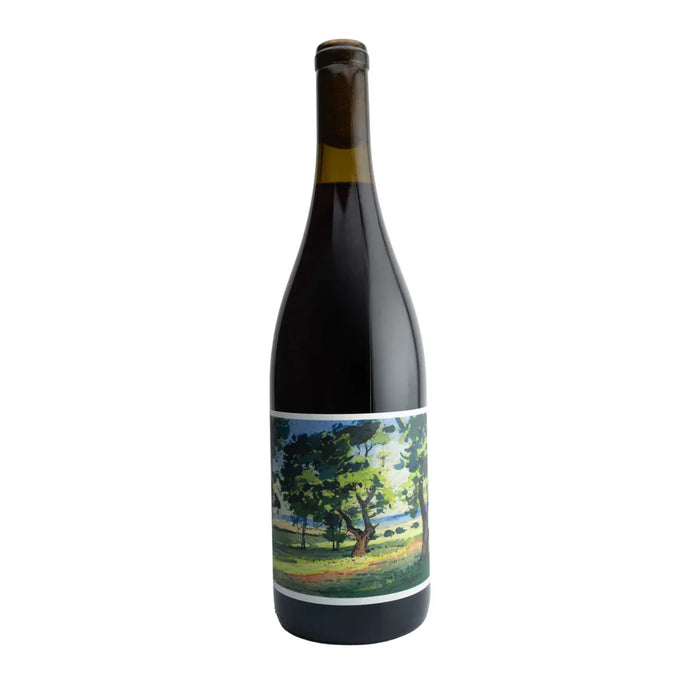 Willamette Valley Pinot Noir 2021 Johan Vineyards 0,75L — Vino Rosso Oregon Pinot Noir