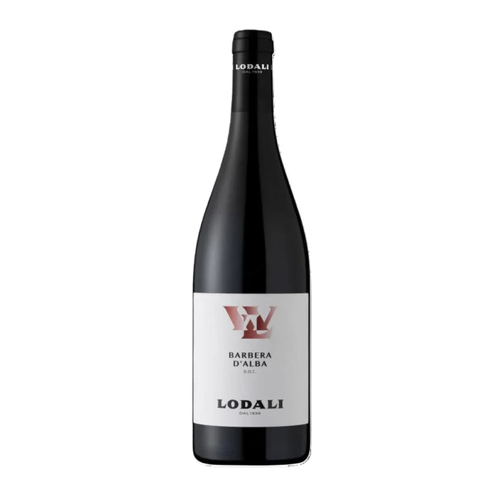 Barbera d'Alba DOC 2024 Walter Lodali 0,75L — Vino Rosso Piemonte Barbera