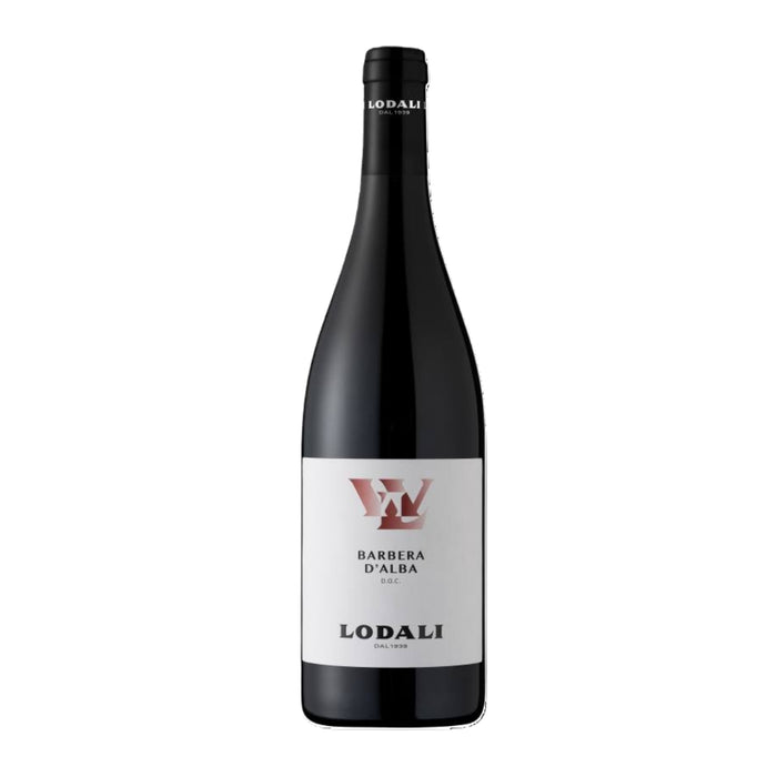 Barbera d'Alba DOC 2024 Walter Lodali 0,75L — Vino Rosso Piemonte Barbera