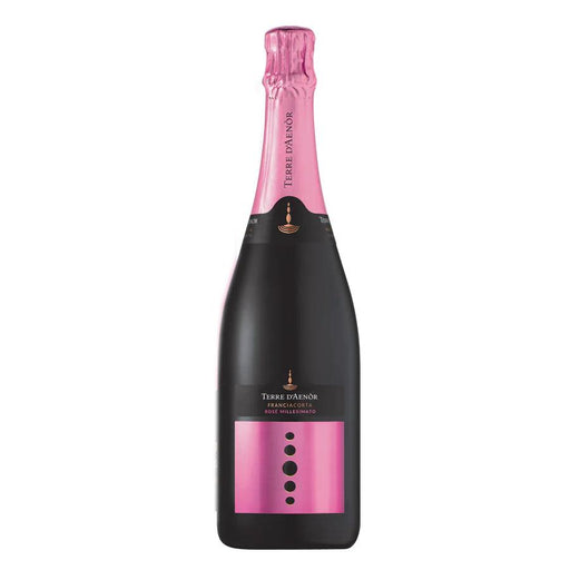 Franciacorta Rosè Millesimato Extra Brut 2019 - Terre d'Aenor - Wine&More