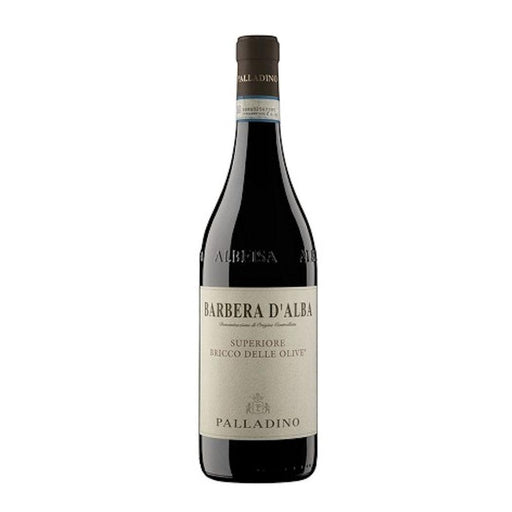 Barbera d'Alba Superiore DOC Bricco delle Olive 2019 - Palladino - Wine&More